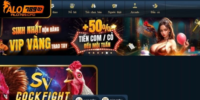 Đá gà ALO789 - Thiên đường của những trận hàng đầu